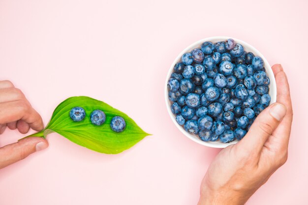 Blueberry. view from above. place for an inscription. healthy berries.