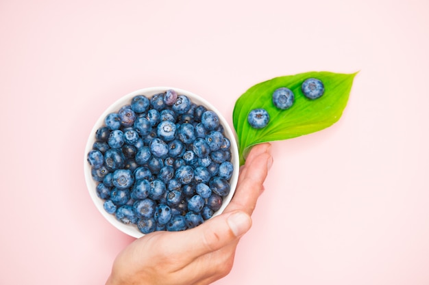 Blueberry. view from above. place for an inscription. healthy berries.