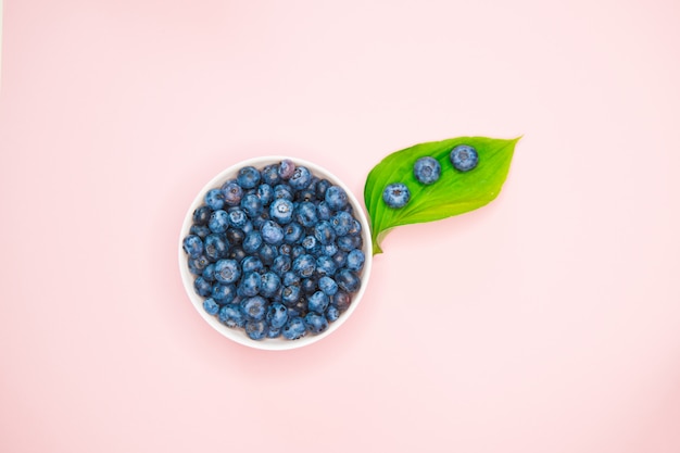 Blueberry. view from above. place for an inscription. healthy berries.