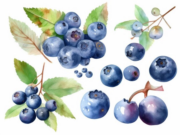 Blueberry watercolor illustration isolated on white background ai generated