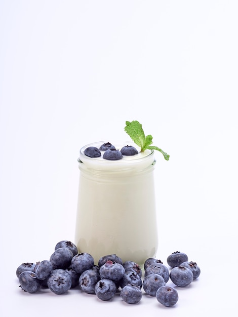 Blueberry yogurt and mint leaves.