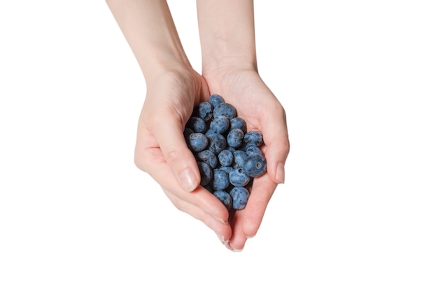 Bluepberry gehouden in handen van de vrouw geïsoleerd op een witte achtergrond. Bovenaanzicht.