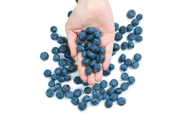 Bluepberry kept in woman hands isolated on white background. Top view.