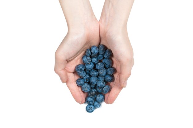 Bluepberry kept in woman hands isolated on white background. Top view.