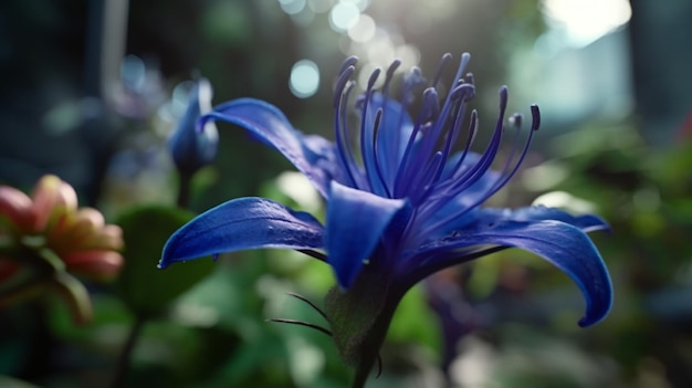 Bluestar flower beautifully bloomed with natural background Generative AI