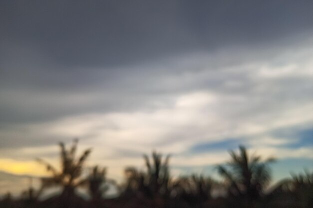 Blur background landscape with coconut tree and sunset sky