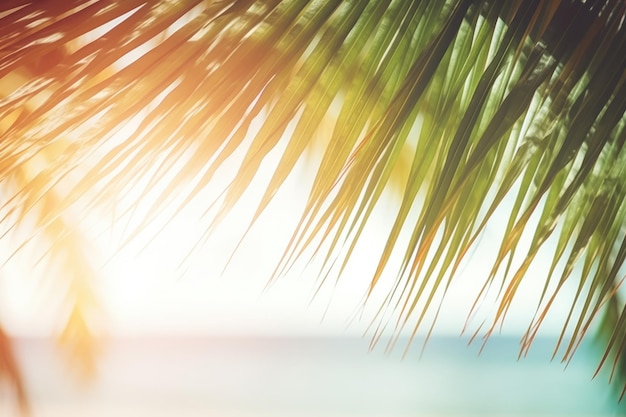 Размытие красивого зеленого пальмового листа на тропическом пляже