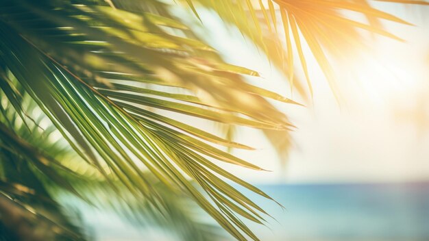 Blur beautiful nature green palm leaf on tropical beach with sun light wave abstract background