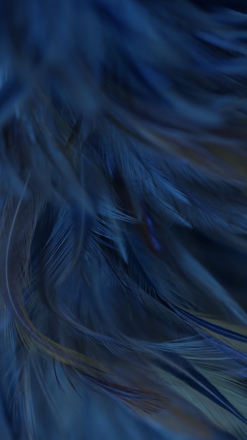 Blur Bird chickens feather texture for background, Fantasy, Abstract, soft color of art design.