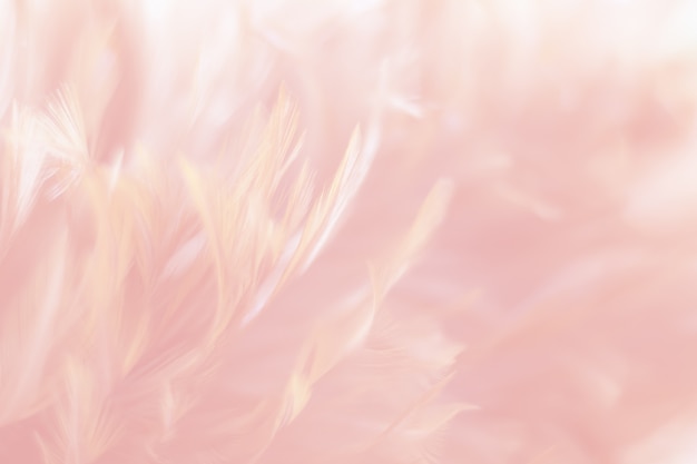 Фото blur bird цыплята текстура пера для фона, фэнтези, абстракция, красный цвет