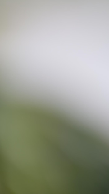 Фото Цветный размытый градиент фона размытый цветный с эффектом зернового шума