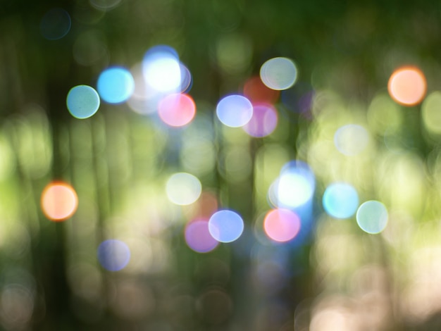 Premium Photo | Blur green nature light for background