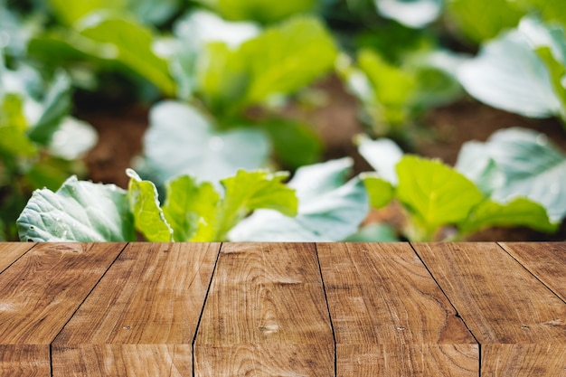 自然な広告の背景のための木製の卓上前景スペースと裏庭で家の野菜の庭の植物をぼかす