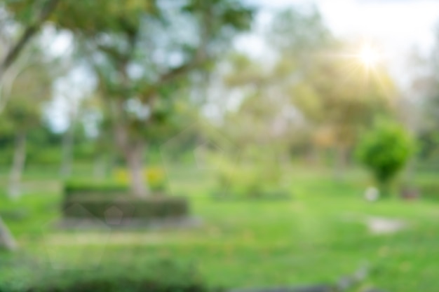 Blur nature bokeh green park by beach and tropical coconut trees in sunset time.