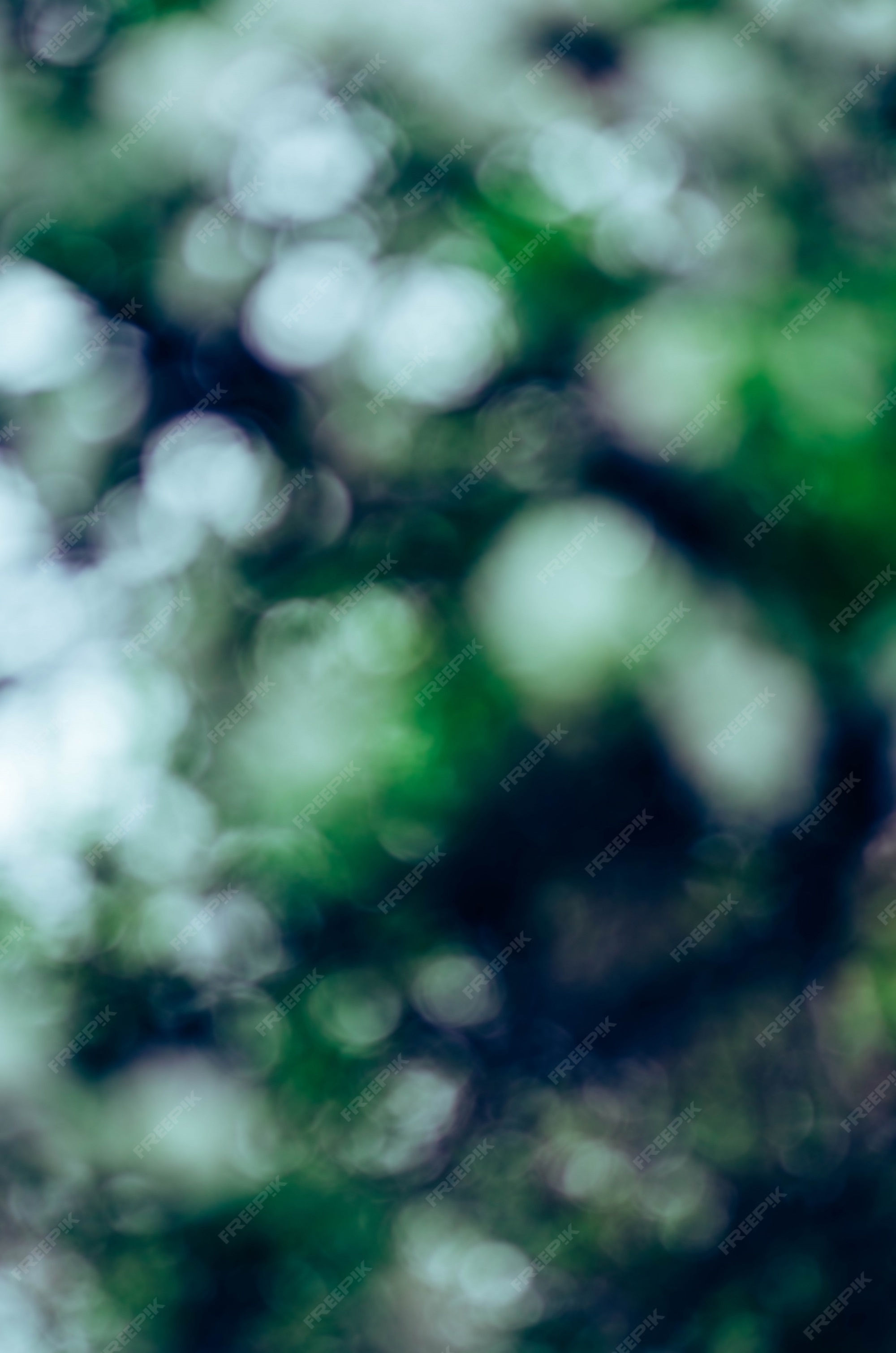 Premium Photo | Blur nature green background