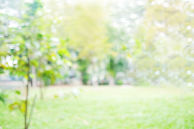 Photo blur park with bokeh light background, nature, outdoors, garden, spring and summer season