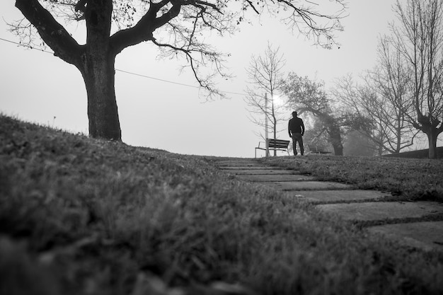 空のベンチと葉のない木と一人で公園にいる男のぼやけた写真孤独な男の背面図