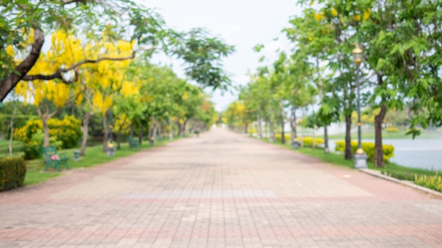 Foto sfocatura del percorso a piedi nel giardino di suan luang rama ix parco pubblico bangkok thailandia background