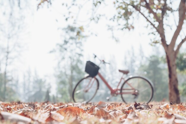 Blured fiets in het park. Vintage toon.