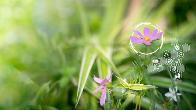 Blured green leave background and Smart technology with agriculture concept, Sustainable energy