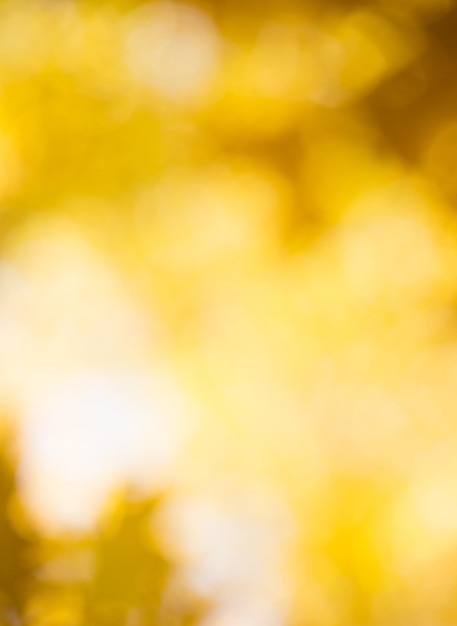 Blurred abstract autumn background