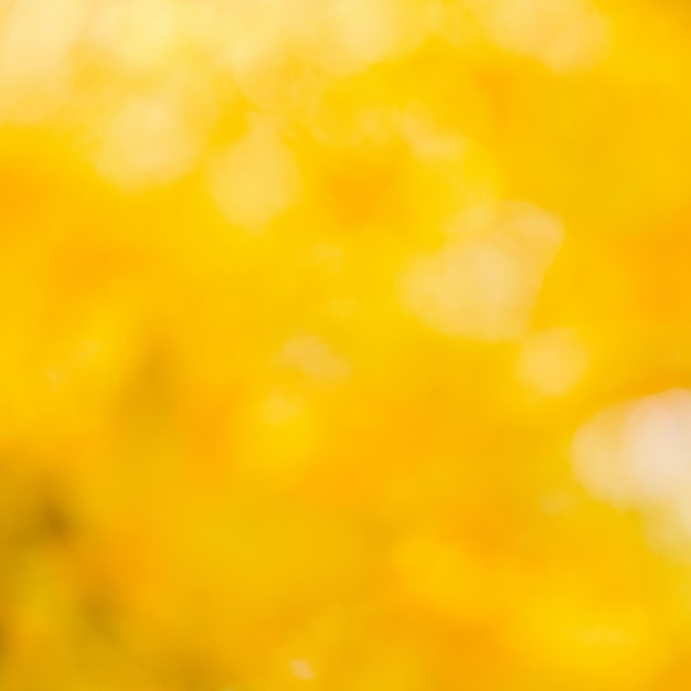 Blurred abstract autumn background