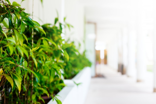 Blurred abstract image of white hotel lobby 