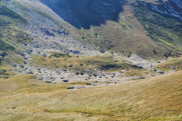 Sfondo naturale astratto sfocato - foresta primaverile serale riflessa nell'acqua del fiume