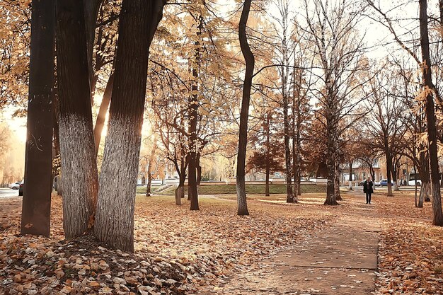 ぼやけた秋の背景公園/黄色の壁紙、秋の森、季節の風景の概念、木の枝、葉