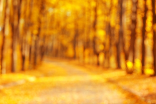 Blurred autumn park background