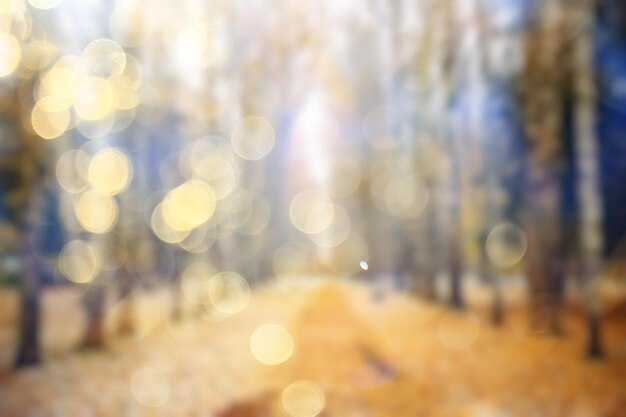 Sfondo sfocato foresta autunnale, arte astratta parco autunnale soleggiato, bagliore giallo vista ottobre