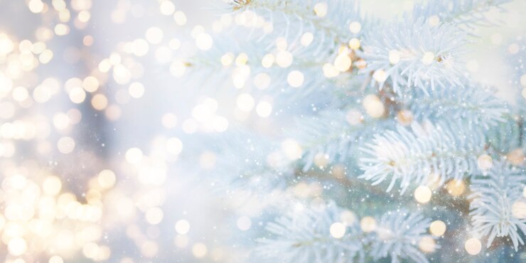 Photo 背景をぼかした写真。クリスマスと新年の休日の背景。