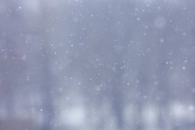 Photo blurred background snowfall nature, abstract falling snowflakes design