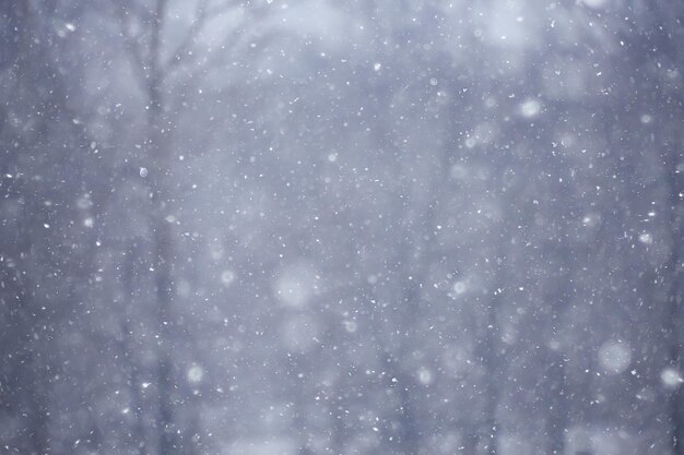 Photo blurred background snowfall nature, abstract falling snowflakes design