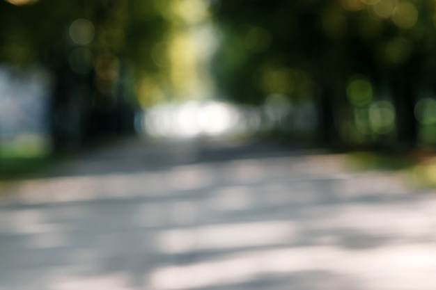 Blurred background of tropical forest