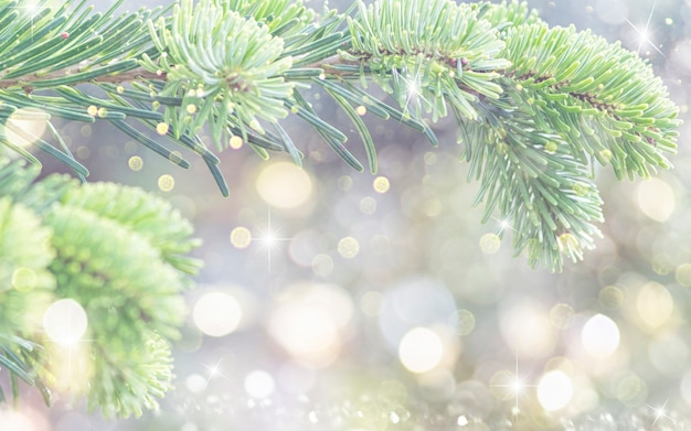 Blurred background with Christmas tree.