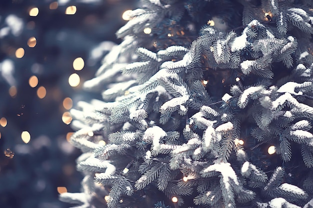 ぼやけた背景、外のクリスマスツリー、飾られた雪の背景、新年