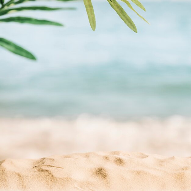 Sfondo spiaggia sfocata