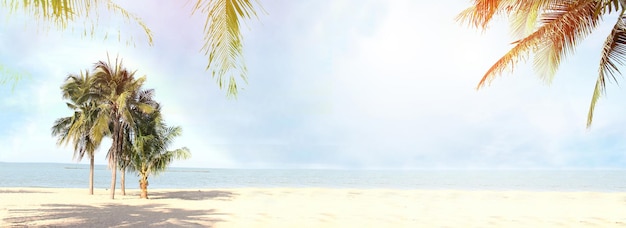 Panaroma 熱帯夏の背景の白いビーチにぼやけた青い空とココヤシの木の葉