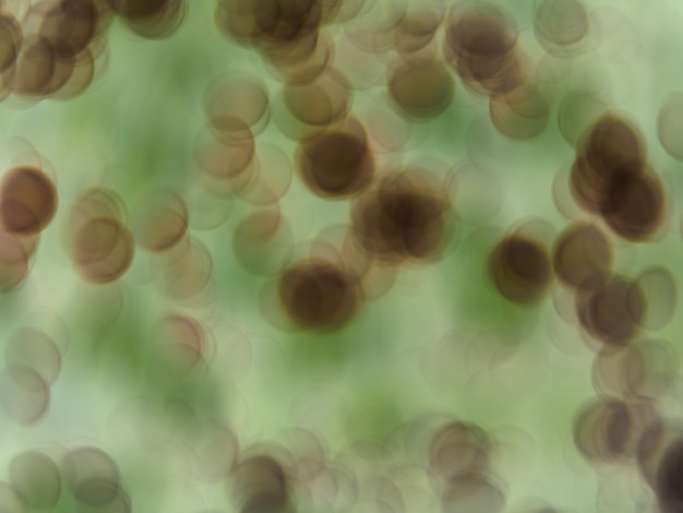 blurred cells floating in fluid