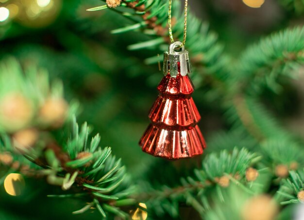 Blurred Christmas spruce twig texture background