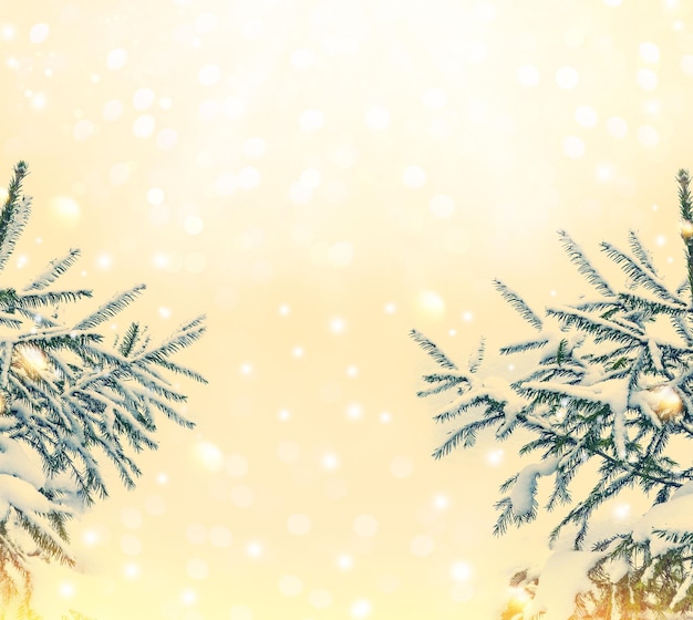 Blurred Christmas tree in the snow greeting card winter