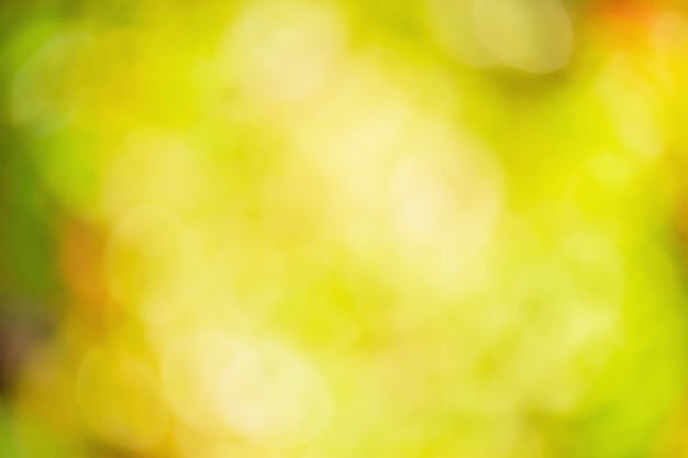 Blurred defocus background green yellow and red background Defocus light autumn