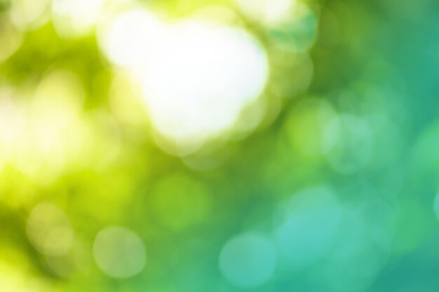 Blurred defocused abstract green background.