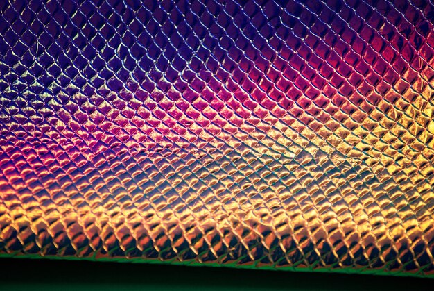 Photo blurred focus holographic texture texture of snake skin bokeh