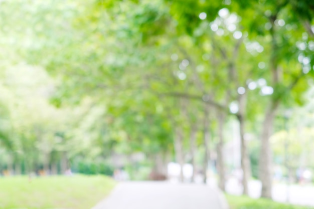 春の自然の屋外の背景のぼやけた庭、夏の背景のぼやけた緑の木立公園、バナー、abstrctボケ光の壁紙、ポスターと春の葉の田園地帯の焦点をぼかす