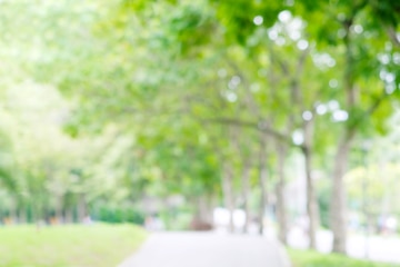 Premium Photo | Blurred garden in spring nature outdoor background, blur  green tree park in summer background, banner, defocus spring foliage  countryside with abstrct bokeh light wallpaper, poster