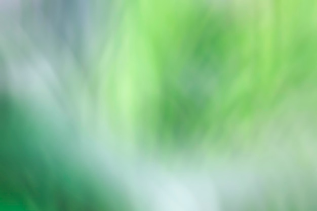 Blurred green abstract background of leaves