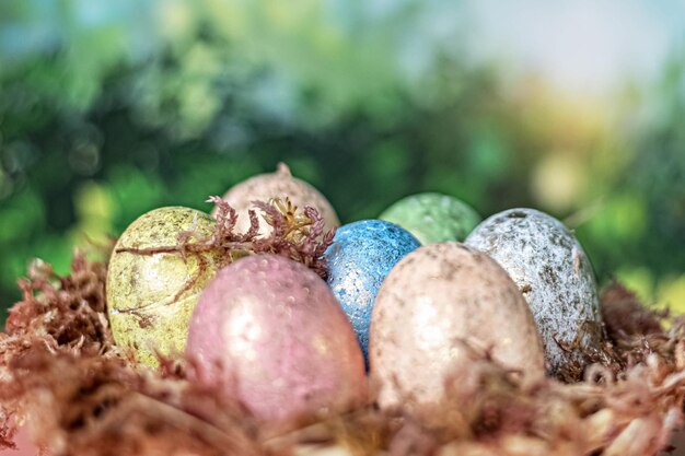 On a blurred green background a natural nest with moss and painted easter eggs selective focus