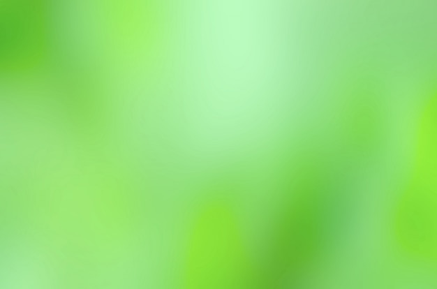 Blurred green leaves bokeh abstract background